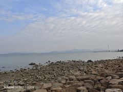 -深圳湾公园(南山区)