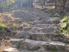 -北京鹫峰国家森林公园