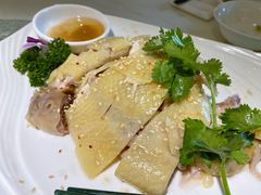 葱油手撕鸡-随园花园餐厅(新港中路店)