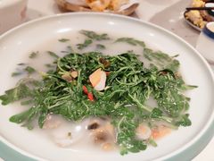 上汤枸杞叶-顺丰轩园林酒家(天河店)