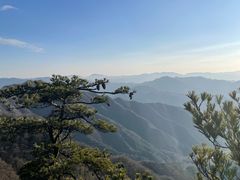 -王顺山国家森林公园