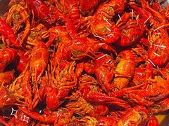 -海岛八号龙虾烧烤田鸡(蓝天路总店)