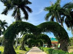 -东南花都花博园