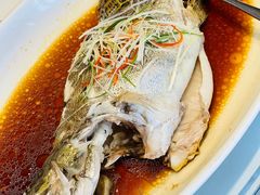 清蒸鳜鱼-弘雅饭店