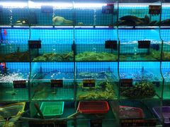 -覃记海鲜美食餐厅