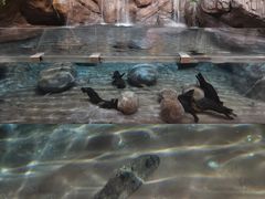 -上海海洋水族馆