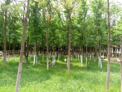 -艾溪湖湿地公园