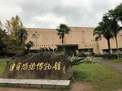 -自贡恐龙博物馆