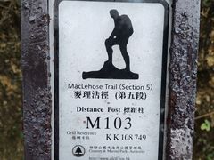 -狮子山郊野公园