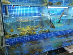-星记小馆·小蓝龙·老南京砂锅菜(上海路店)