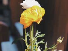 -天水蔬食料理(树德之光店)