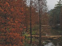 -云溪植物园