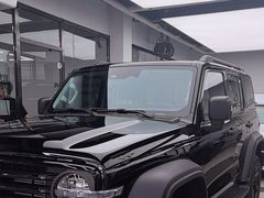 -龙膜全球臻选店·汽车贴膜·隐形车衣