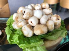 小马蹄-凤园椰珍·臻品椰子鸡(保利时光里店)