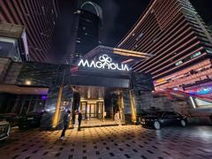 -MAGNOLIA商务·娱乐KTV(金玉兰店)