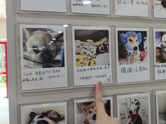 -御宝贝24h宠物医院·转诊中心·CT核磁血透中心(厦门总院)