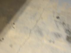 -巢爷老味(东方红店)