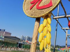 -光明小镇欢乐田园
