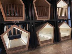 -水王国温泉水世界