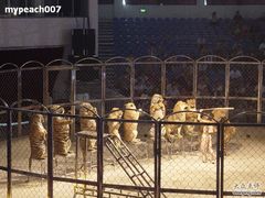 -西安秦岭野生动物园