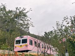 -小南山公园