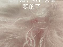 -芭比堂宠物医院·全科爱猫医院·仁德分院
