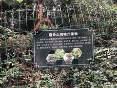 -缙云山景区