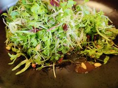 菜苗沙拉-上海滩餐厅(BFC外滩金融中心店)