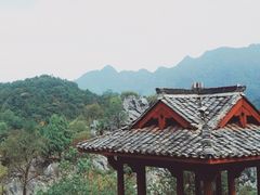 -千岛湖石林