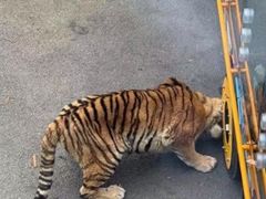 -大连森林动物园