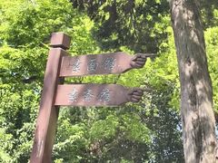 -灵岩山风景区