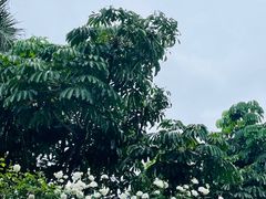 -人民公园(罗湖区)