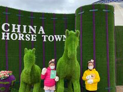 -中国马镇舞马世界主题乐园
