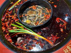 -矮板凳老火锅(宽窄巷子店)