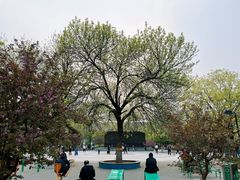 -丰台花园