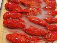 -肥肥虾庄·金牌油焖大虾(首义路店)