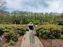 -洛阳市隋唐城遗址植物园