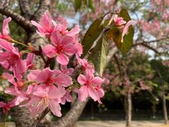 -广州市白云山风景名胜区