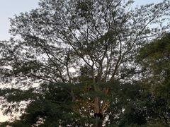 -水濂山森林公园