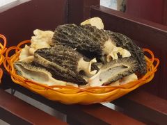 -山菌美食苑(振兴路店)