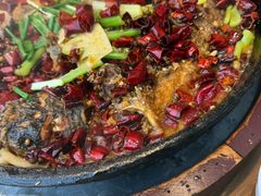 -老板恋上鱼(恒隆广场店)