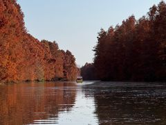 -上海海湾国家森林公园