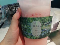 -野萃山·潮汕厚果汁(十亩地店)