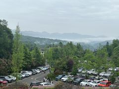 -中国大熊猫保护研究中心雅安碧峰峡基地