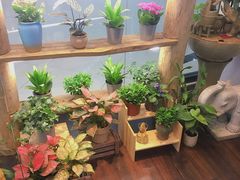 -十二舍·湯物素煮(江泰潤政店)