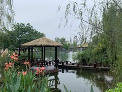 -成飞公园