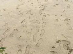 -北海金海湾红树林生态旅游区