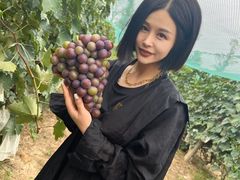 -开心庄园