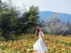 -名花谷生态庄园