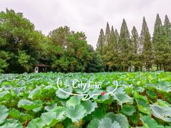 -包公祠